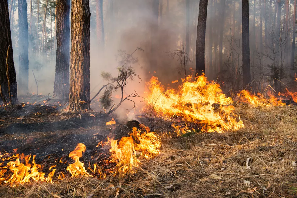 Deep East Texas Burn Bans – Angelina, Polk and Trinity Counties Are First