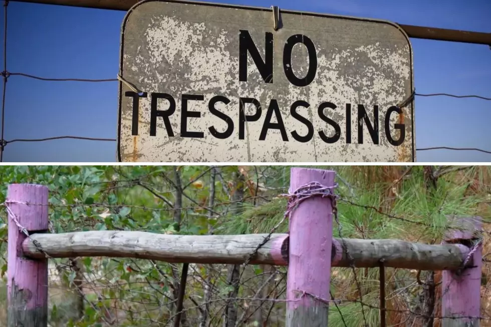 What’s The Importance Of Purple Paint On Fence Posts In Texas?